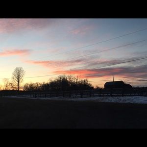 Meet your Posher, Louise